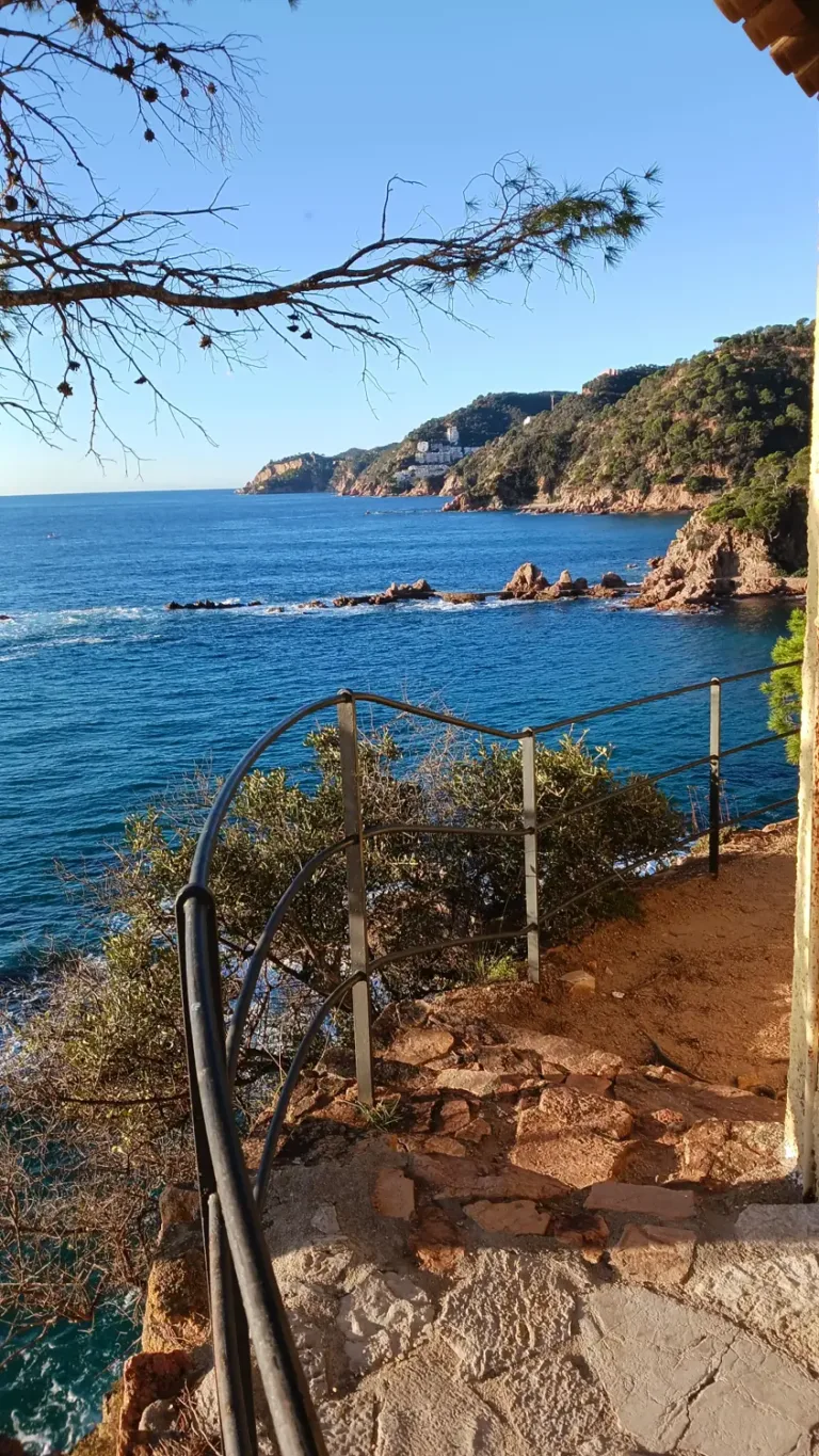 RUTA GUIADA DE SENDERISME: ROSAMAR, CANYET