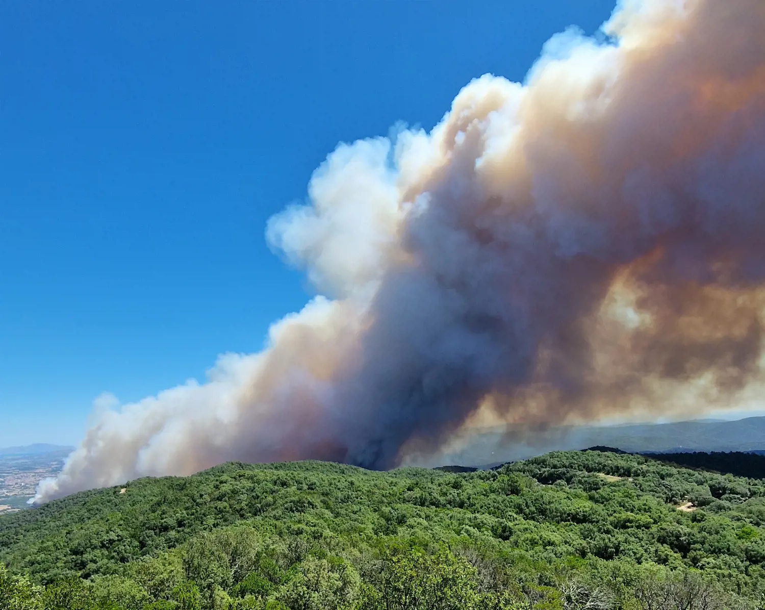 Incendi forestal de Les Gavarres