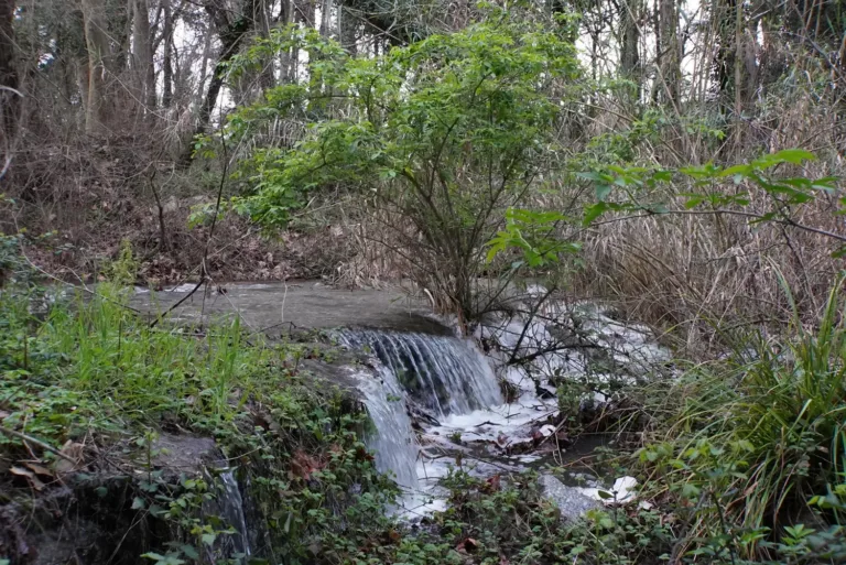 Sessió Informativa sobre el Pla Estratègic Municipal d’Infraestructura Verda