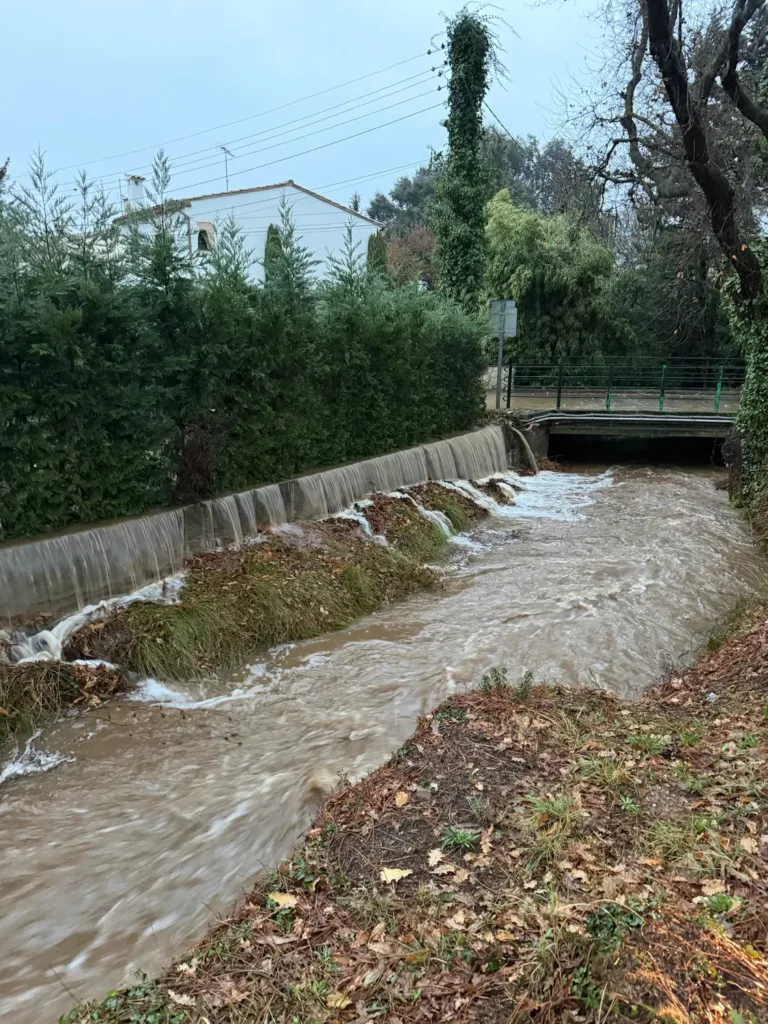 Ajudes disponibles per als danys ocasionats per la Borrasca Harry