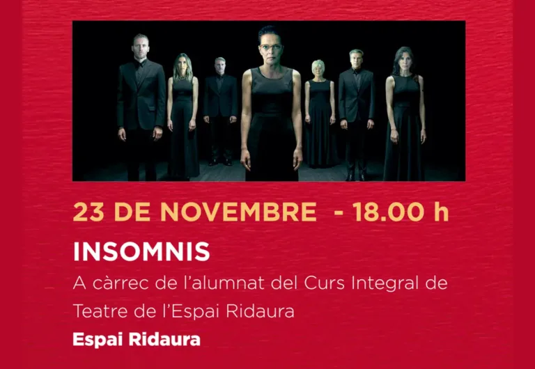 Espectacle INSOMNIS
