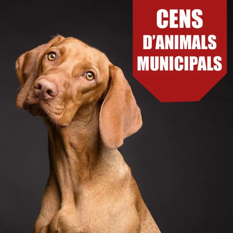 Cens d’animals de companyia