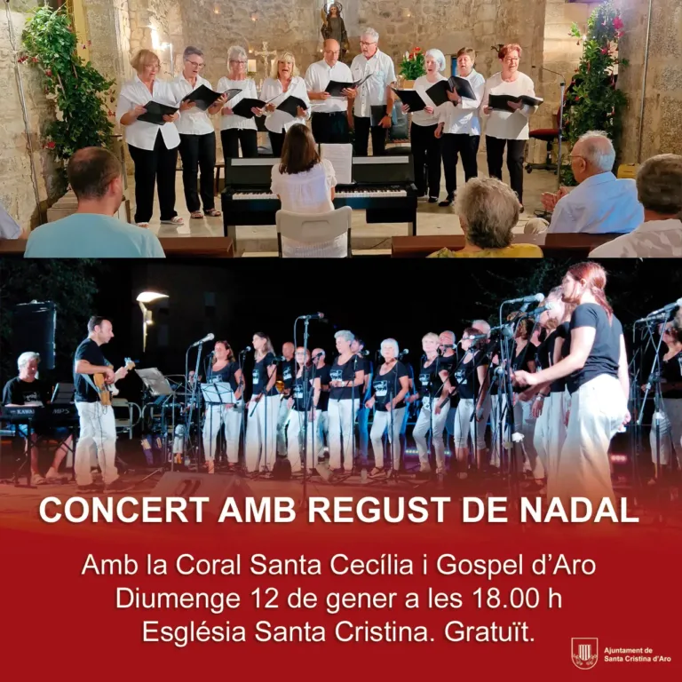 CONCERT AMB REGUST DE NADAL