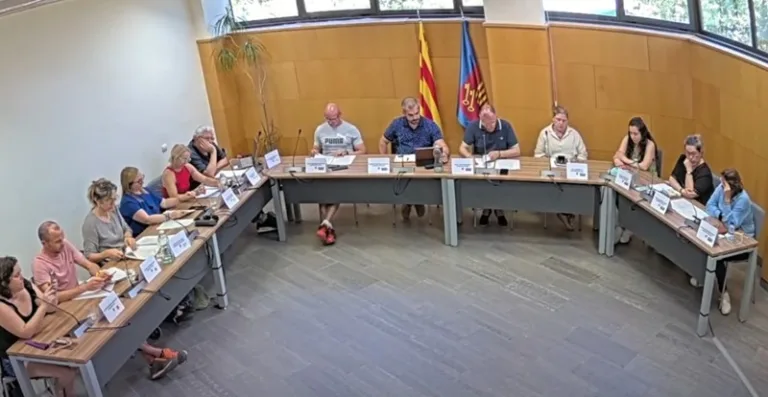 RESUM PLE ORDINARI PRESENCIAL 25 JUNY