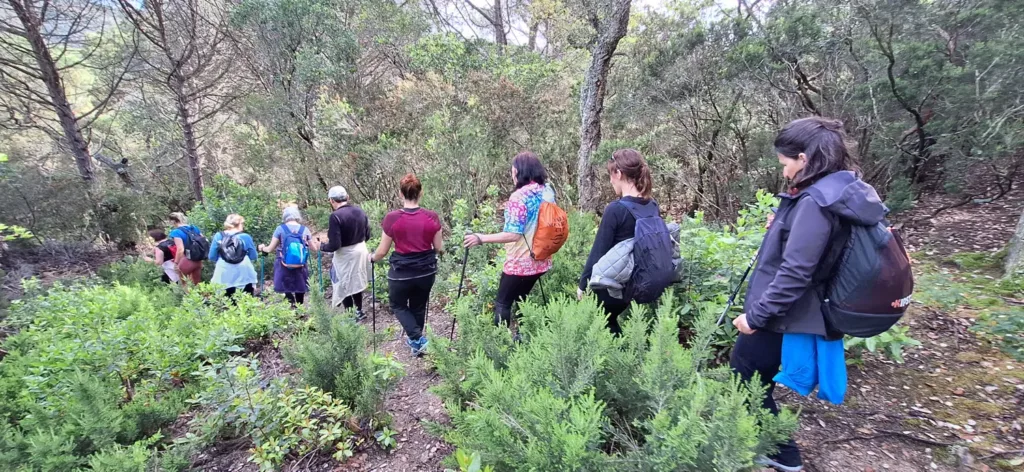 RUTA GUIADA DE SENDERISME: PUIG LES TEULES