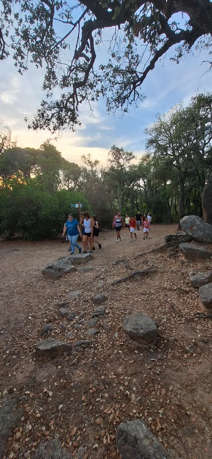 RUTA GUIADA DE SENDERISME: NOCTURNA ALS GEGANTS DEL BOSC