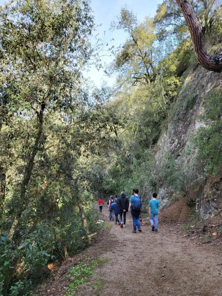 RUTA GUIADA DE SENDERISME: LES FONTS DE SALENYS I EL SALT DEL LLOP