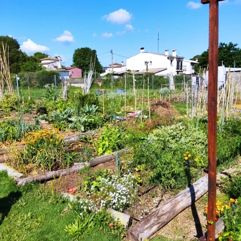 Introducció a l’horticultura ecològica