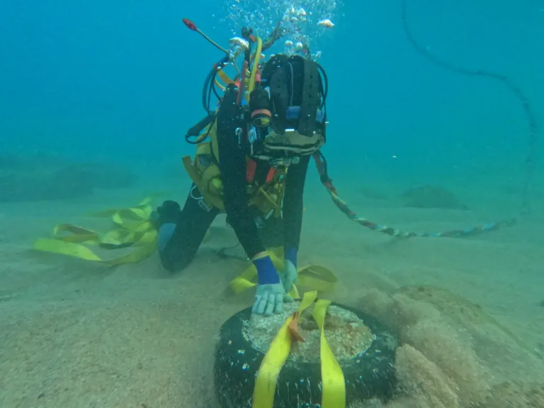 El projecte RESILIA extreu més d’11 tones de material del fons marí per protegir la Posidonia oceanica